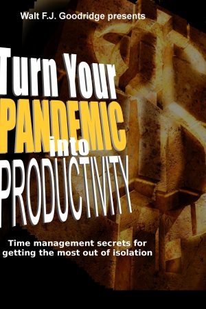 Turn Your Pandemic into Productivity! Zoom Workshop Saturday, August 8, 2020
