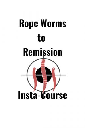 From Rope Worms to Remission 35 Lesson Insta-Course (Version 1.0)